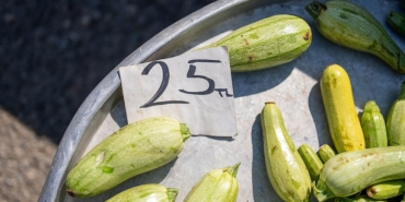 Altin-Fiyatlari-Rekor-Kirdi-Kilogram-735-Milyon-TL8217yi-Gordu-featured