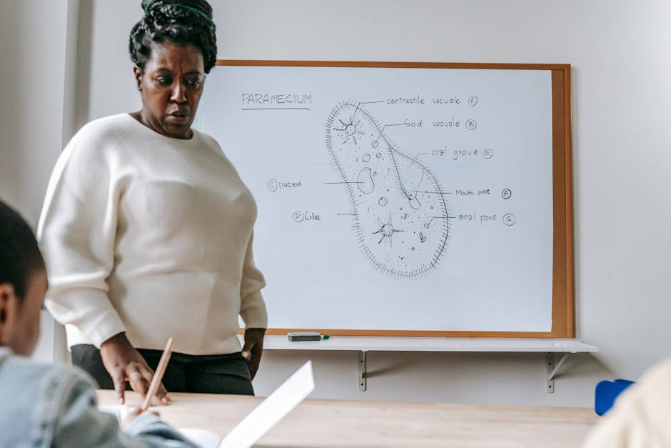 Ogretmen-Adaylari-Dikkat-Milli-Egitim-Akademisi-Kayit-Detaylari-Aciklandi-featured